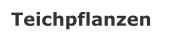 Teichpflanzen