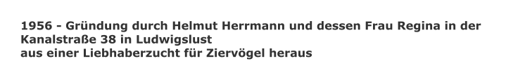 1956 - Gründung durch Helmut Herrmann und dessen Frau Regina in der  Kanalstraße 38 in Ludwigslust aus einer Liebhaberzucht für Ziervögel heraus