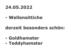 24.05.2022  - Wellensittiche  derzeit besonders schön:  - Goldhamster - Teddyhamster