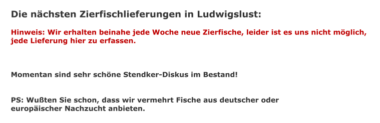 Die nchsten Zierfischlieferungen in Ludwigslust:  Hinweis: Wir erhalten beinahe jede Woche neue Zierfische, leider ist es uns nicht mglich,  jede Lieferung hier zu erfassen.    Momentan sind sehr schne Stendker-Diskus im Bestand!   PS: Wuten Sie schon, dass wir vermehrt Fische aus deutscher oder europischer Nachzucht anbieten.
